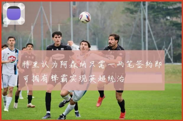 特里认为阿森纳只需一两笔签约即可拥有锋霸实现英超统治